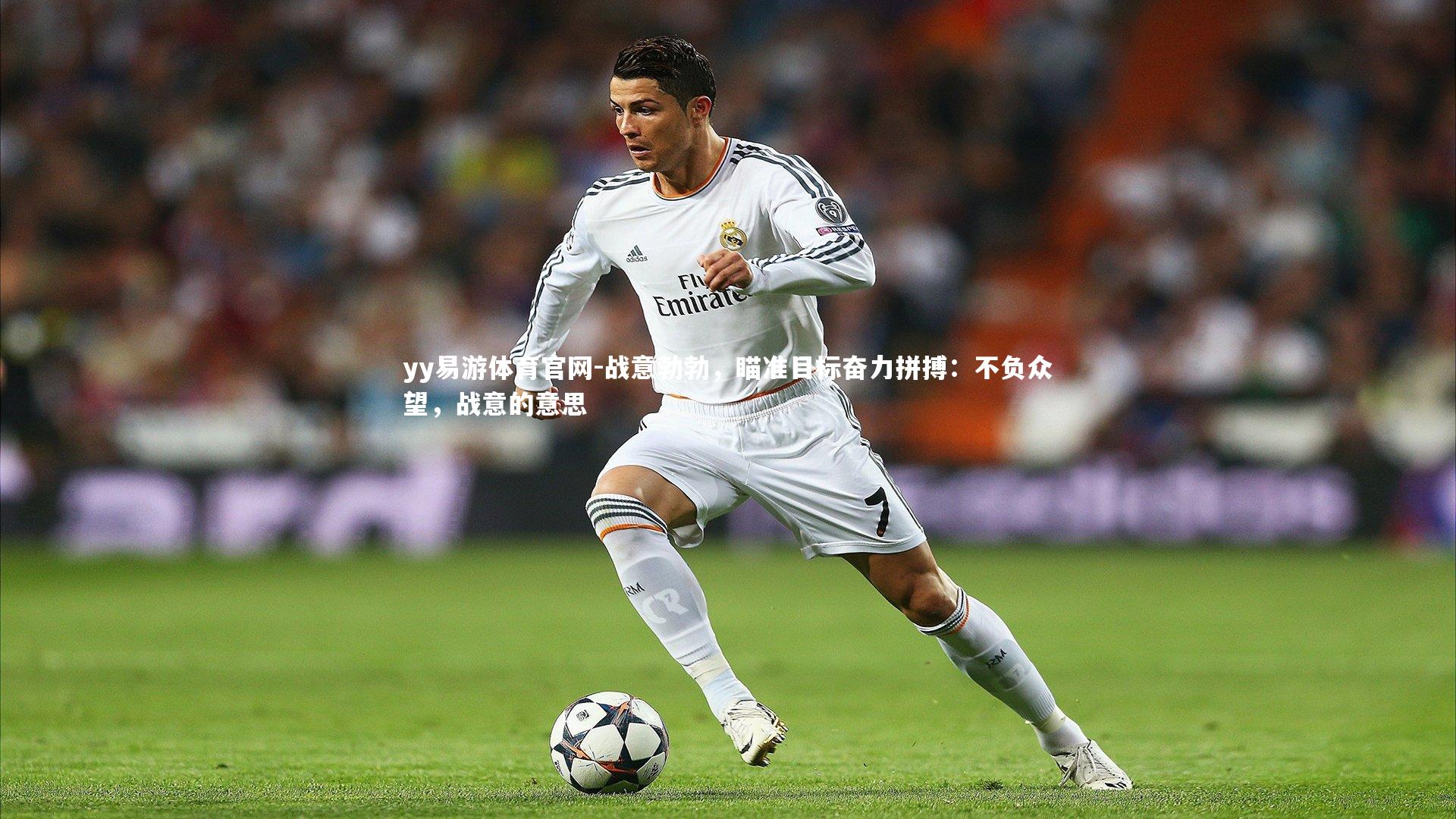 战意勃勃，瞄准目标奋力拼搏：不负众望，战意的意思