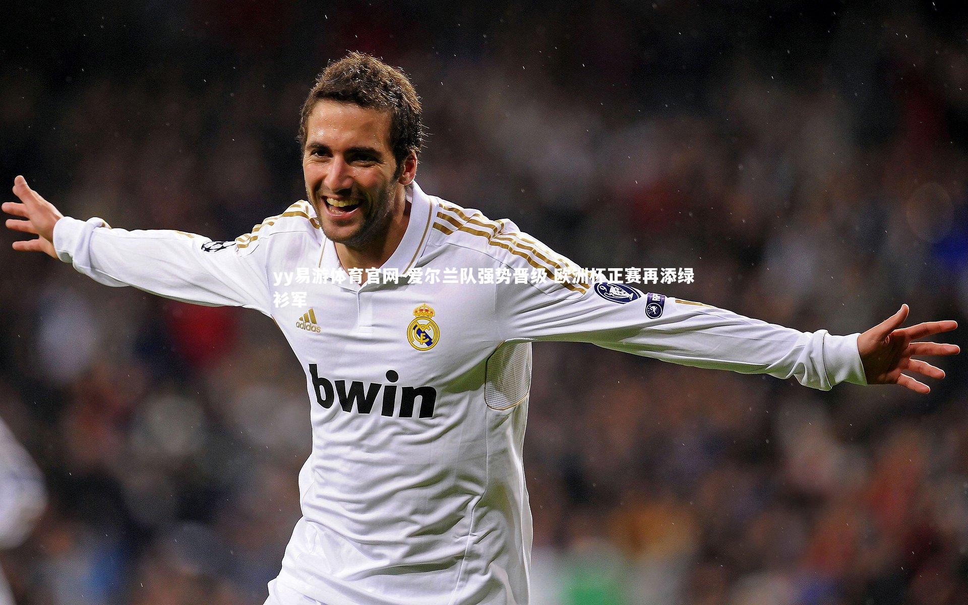 爱尔兰队强势晋级 欧洲杯正赛再添绿衫军